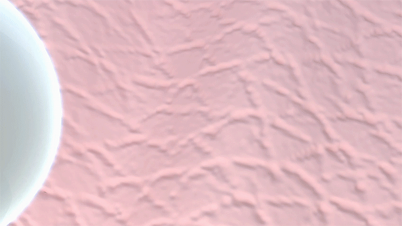 a9292f0d169846cf1632958c25cedfd0876d049311da8da17629b005dbfc4ead.gif